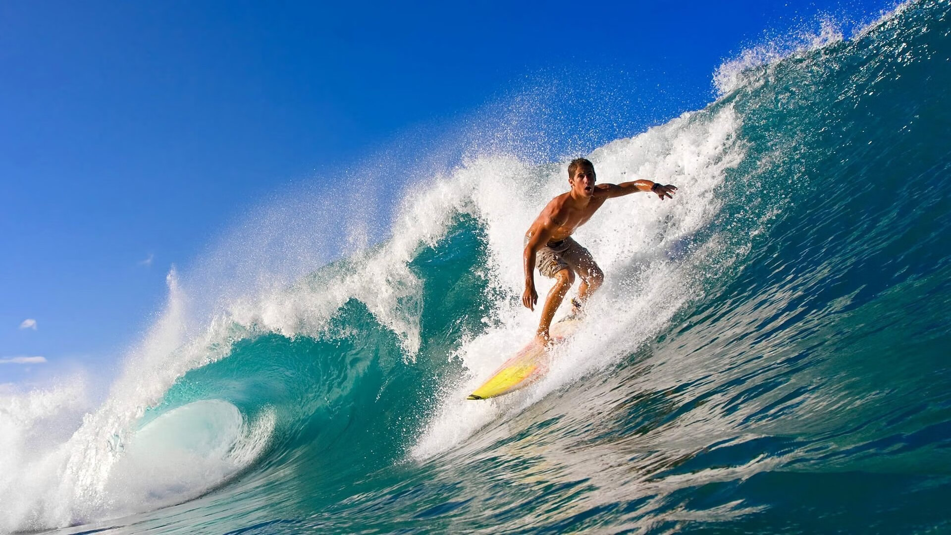 【年度亮点】年度最佳比赛瞬间回顾，年度最佳评选